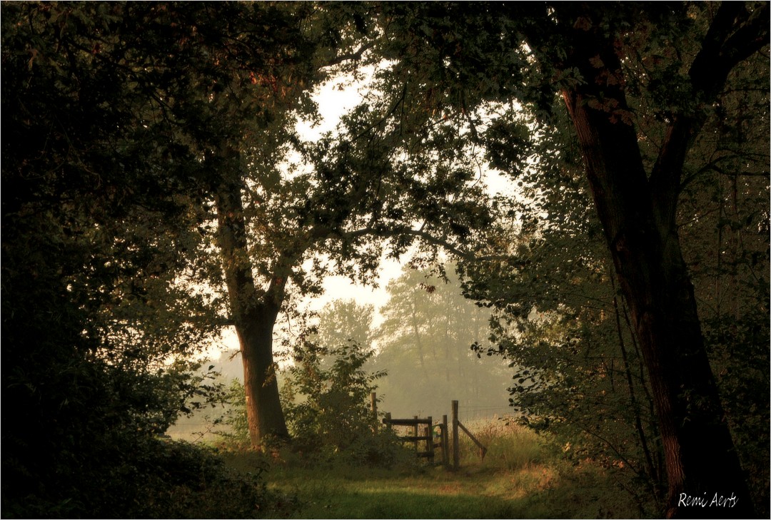 photo "***" tags: landscape, nature, 