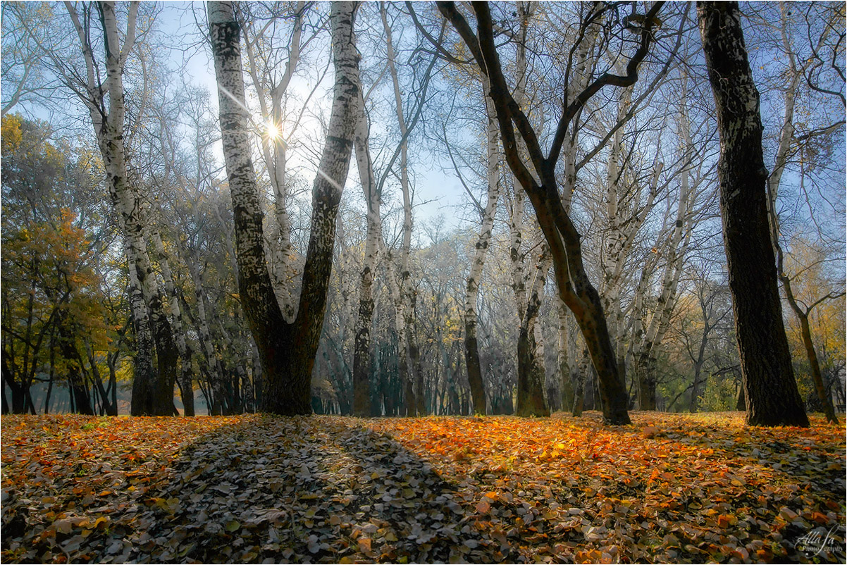 фото "Игры в прятки с солнышком" метки: пейзаж, природа, 