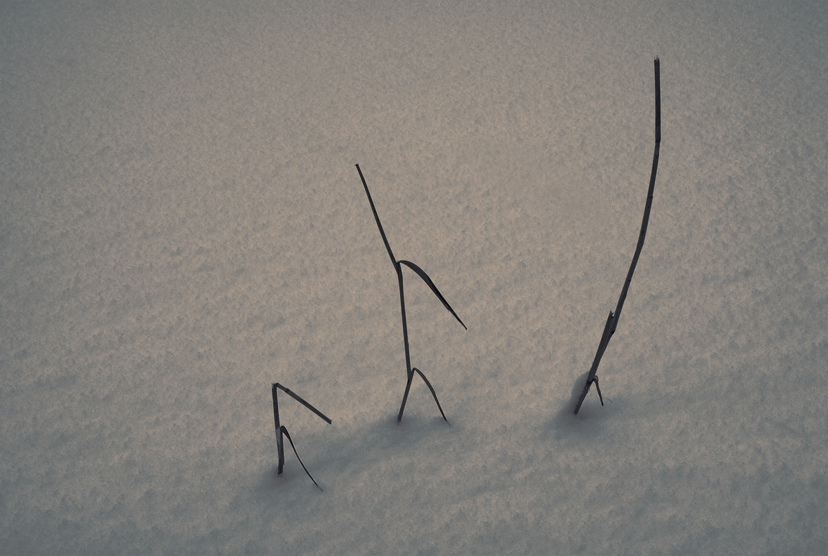 photo "Family disassembly" tags: nature, snow, конкурс, фантазии