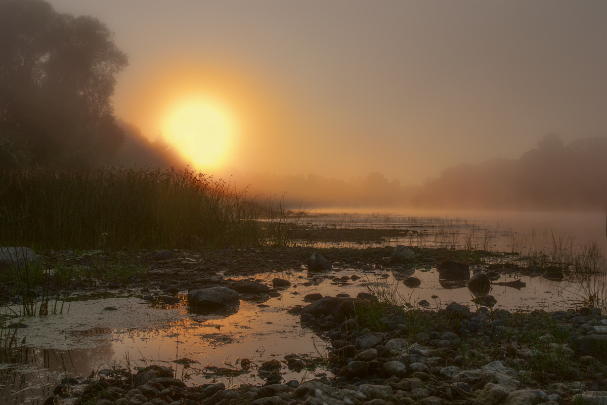 photo "***" tags: landscape, fog, morning, river, summer