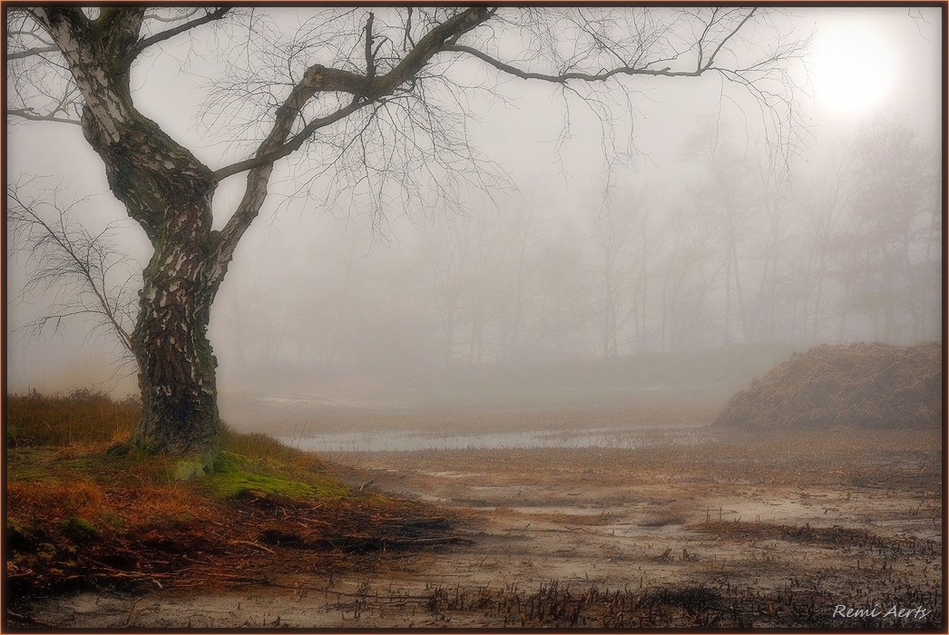 photo "***" tags: landscape, nature, 