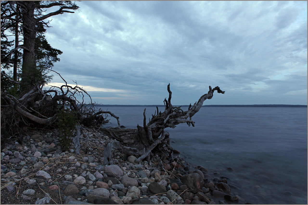 photo "Onego" tags: landscape, nature, Онега