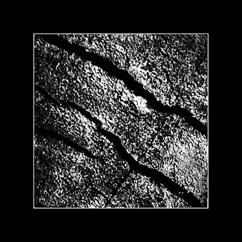 photo "***" tags: black&white, fragment, nature, 