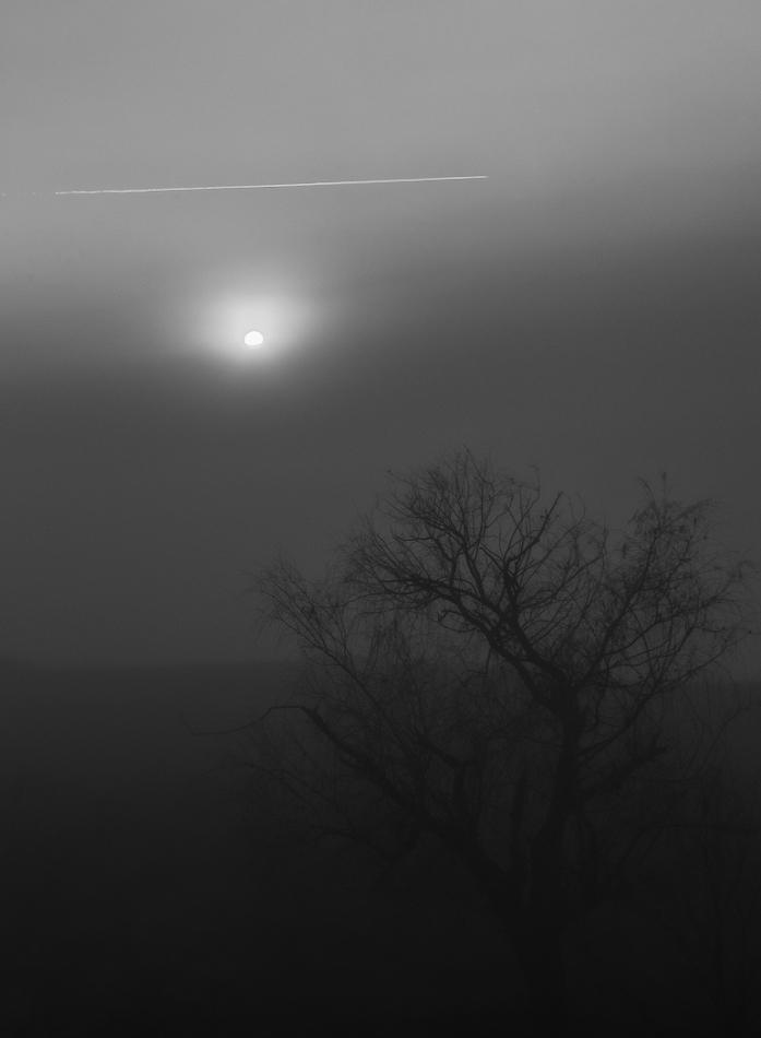 photo "***" tags: landscape, black&white, fog