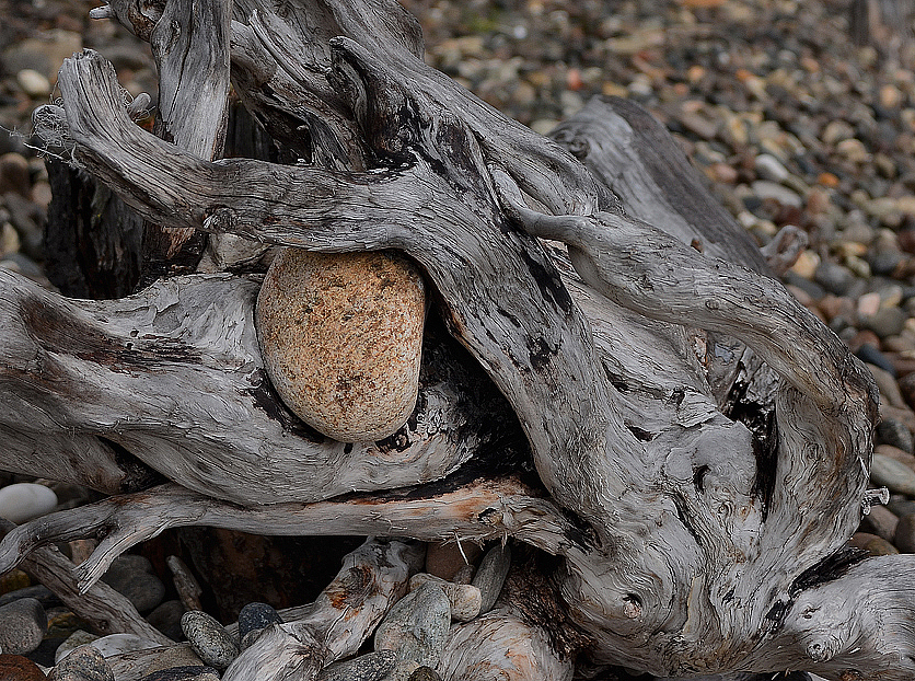 photo "***" tags: nature, 