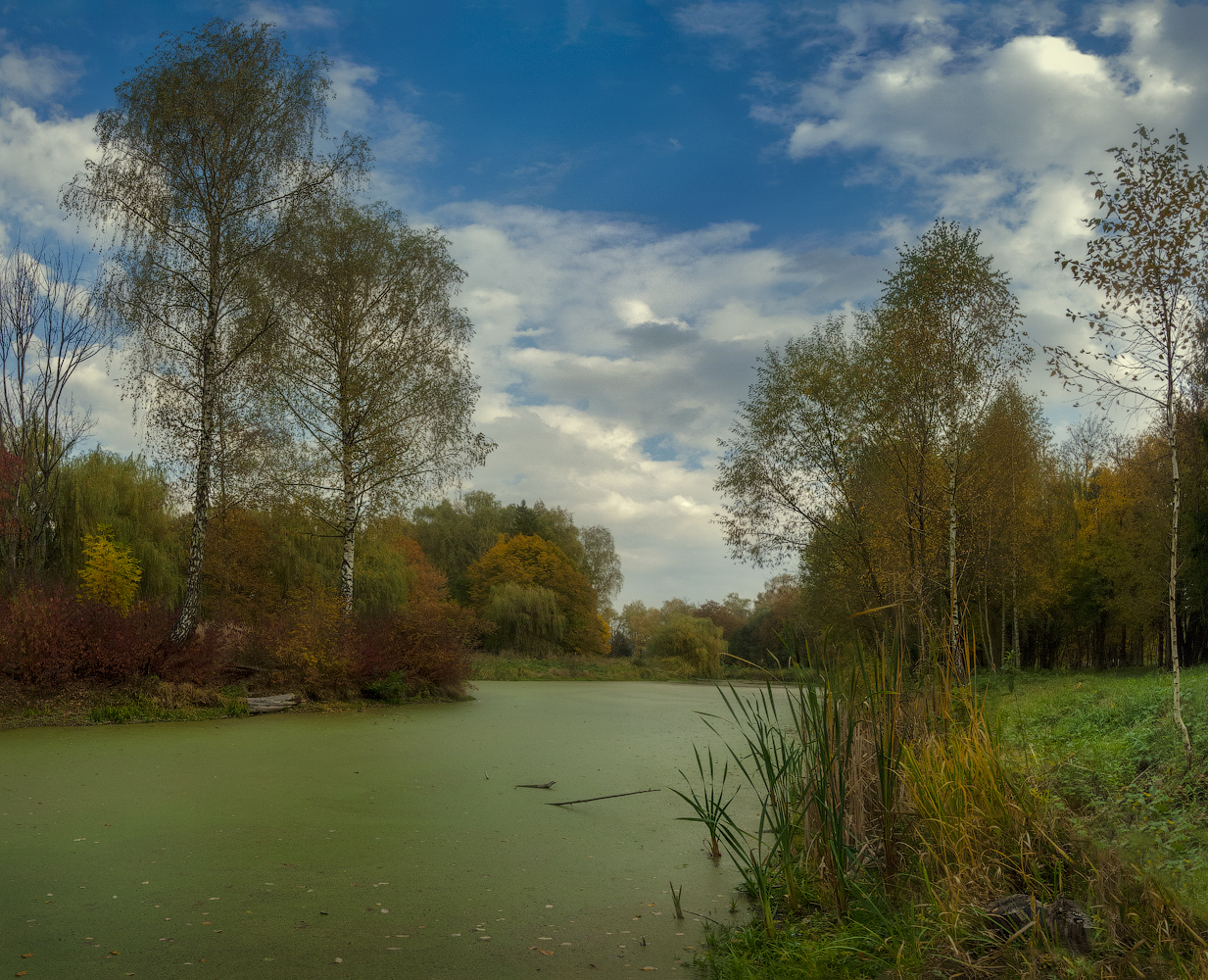 фото "Осеннее..." метки: пейзаж, природа, панорама, вода, день, деревья, канал, краски, кусты, небо, осень, парк, трава, тучи