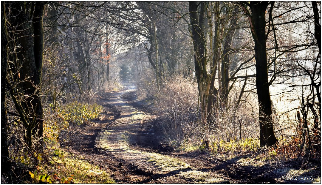 photo "***" tags: landscape, nature, 