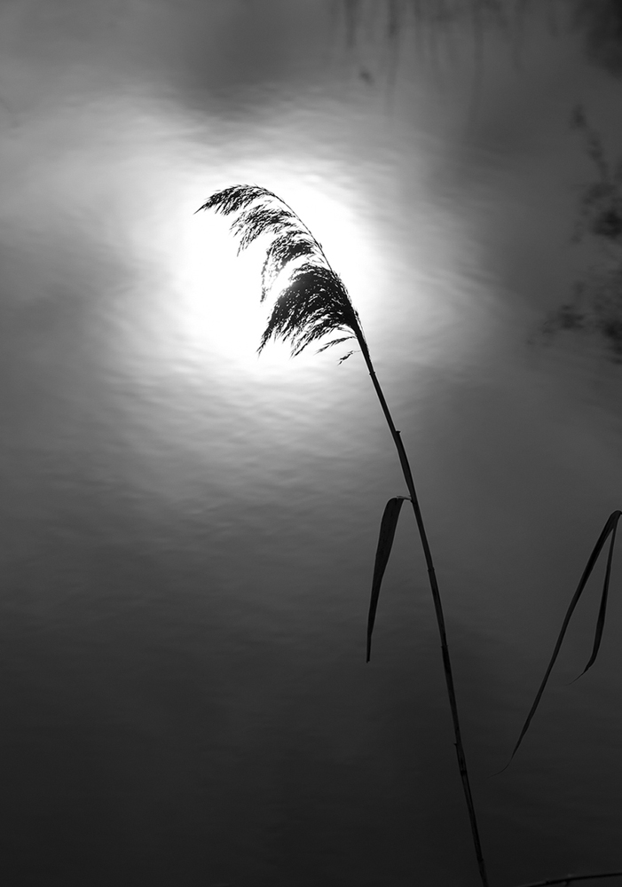 photo "***" tags: nature, landscape, black&white, night, shadow, water, контур, отражение