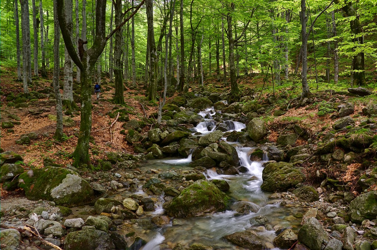 photo "***" tags: landscape, 
