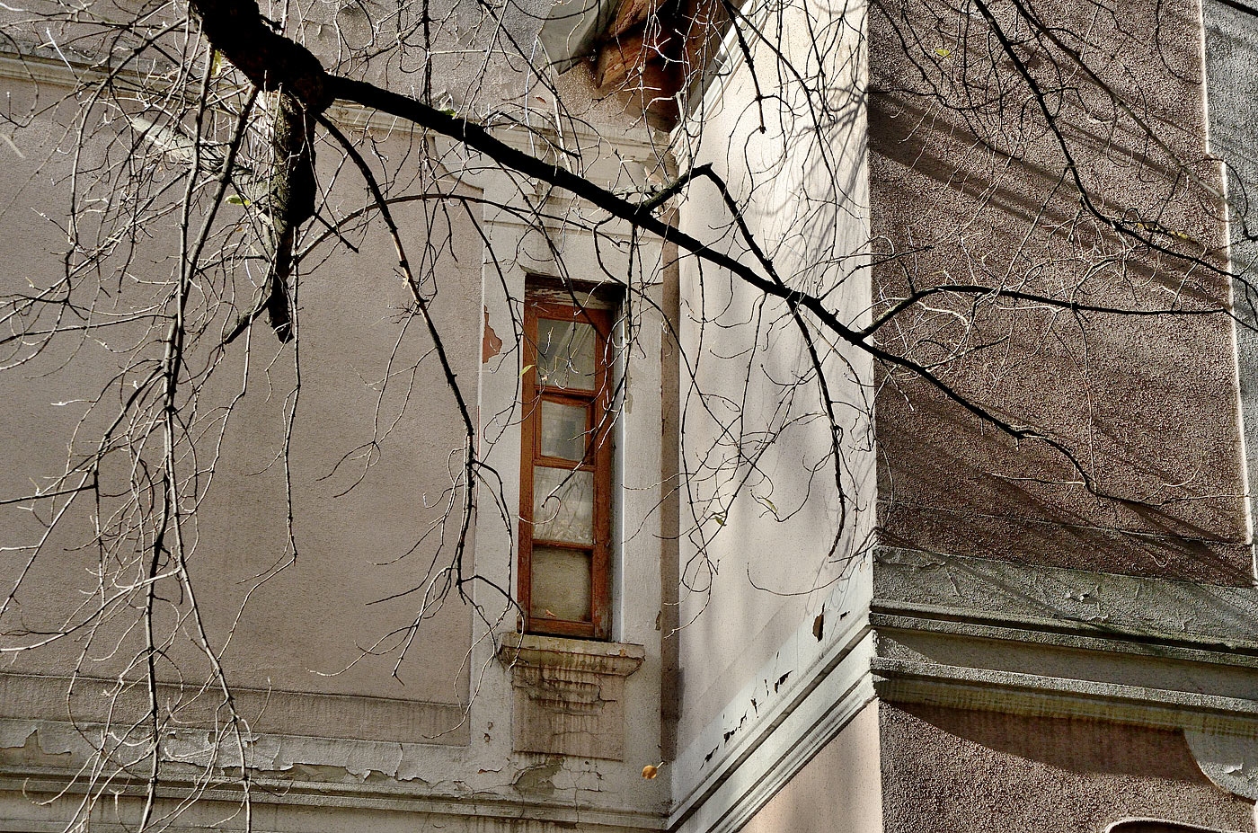 фото "***" метки: разное, 