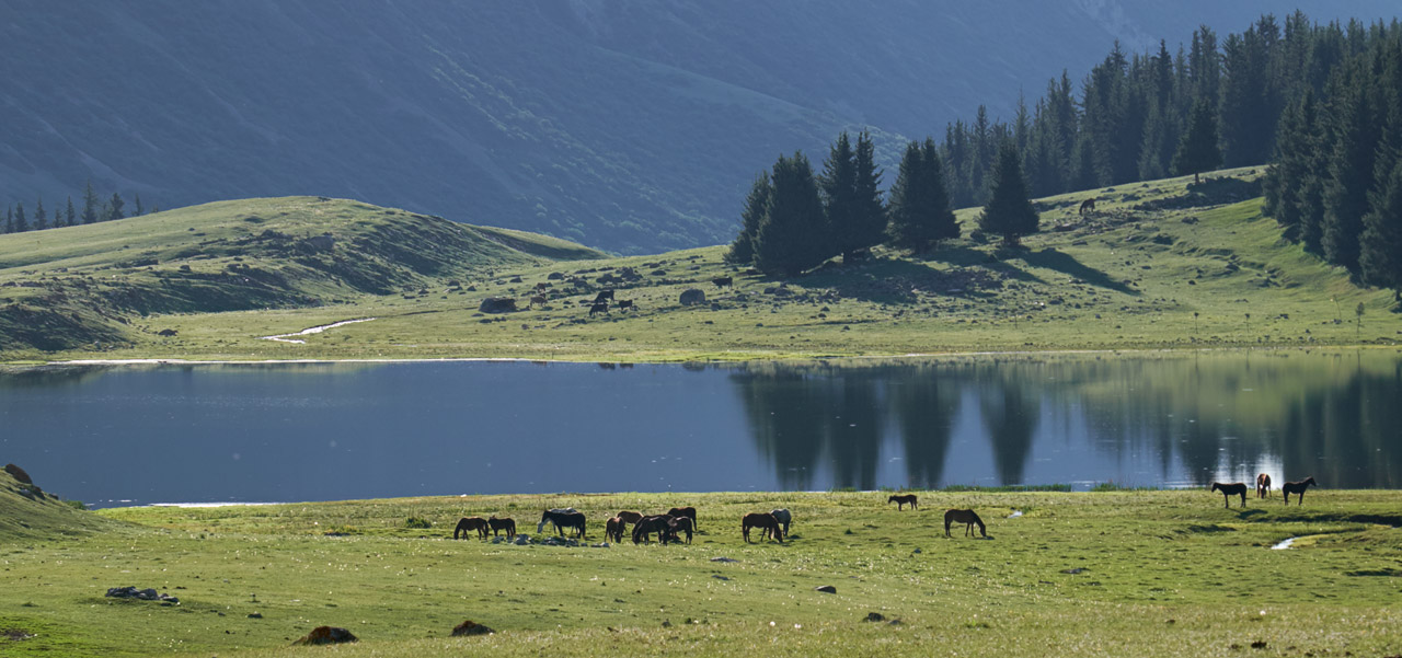 photo "***" tags: landscape, travel, nature, lake, morning, mountains, выпас, киргизия, лошади, пастбище