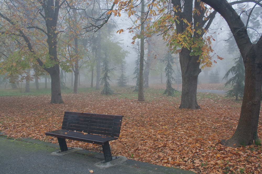 фото "*" метки: пейзаж, 