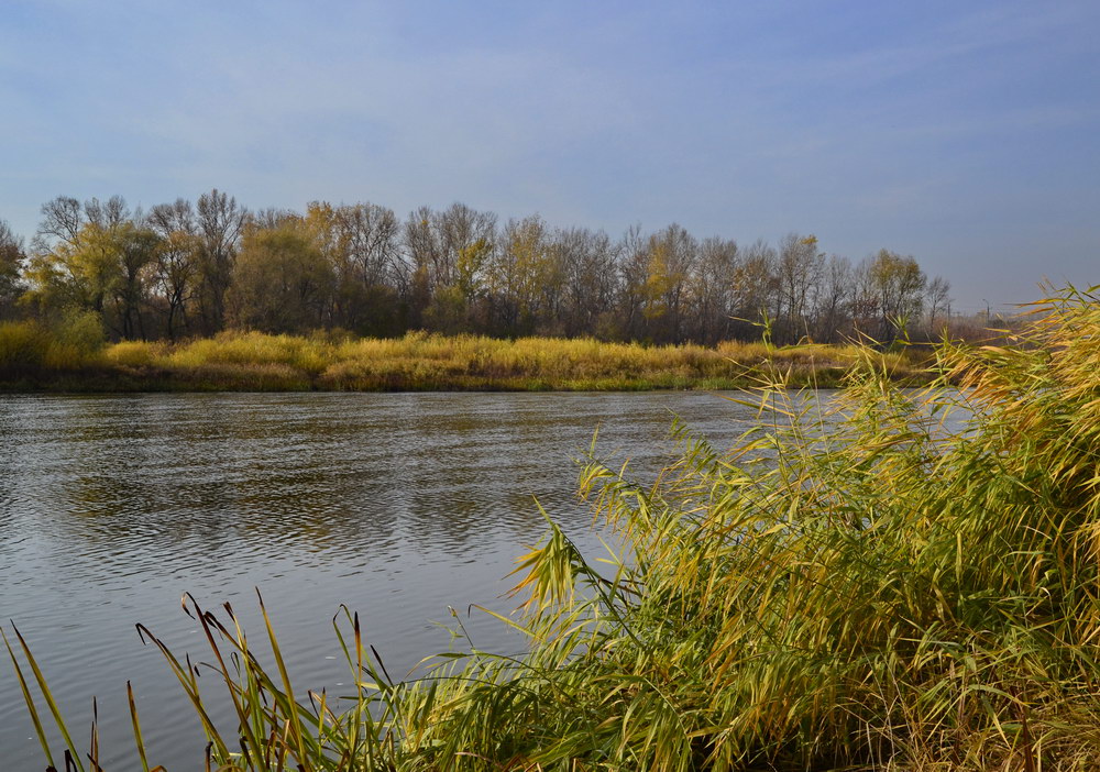 photo "***" tags: nature, 