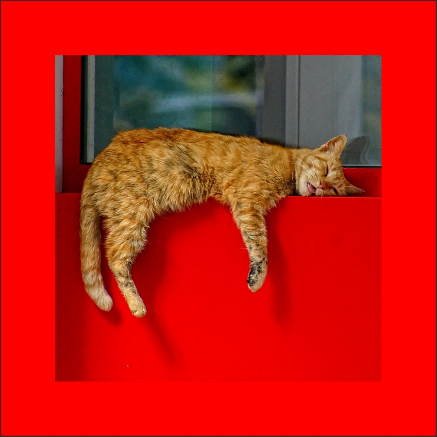photo "***" tags: misc., 