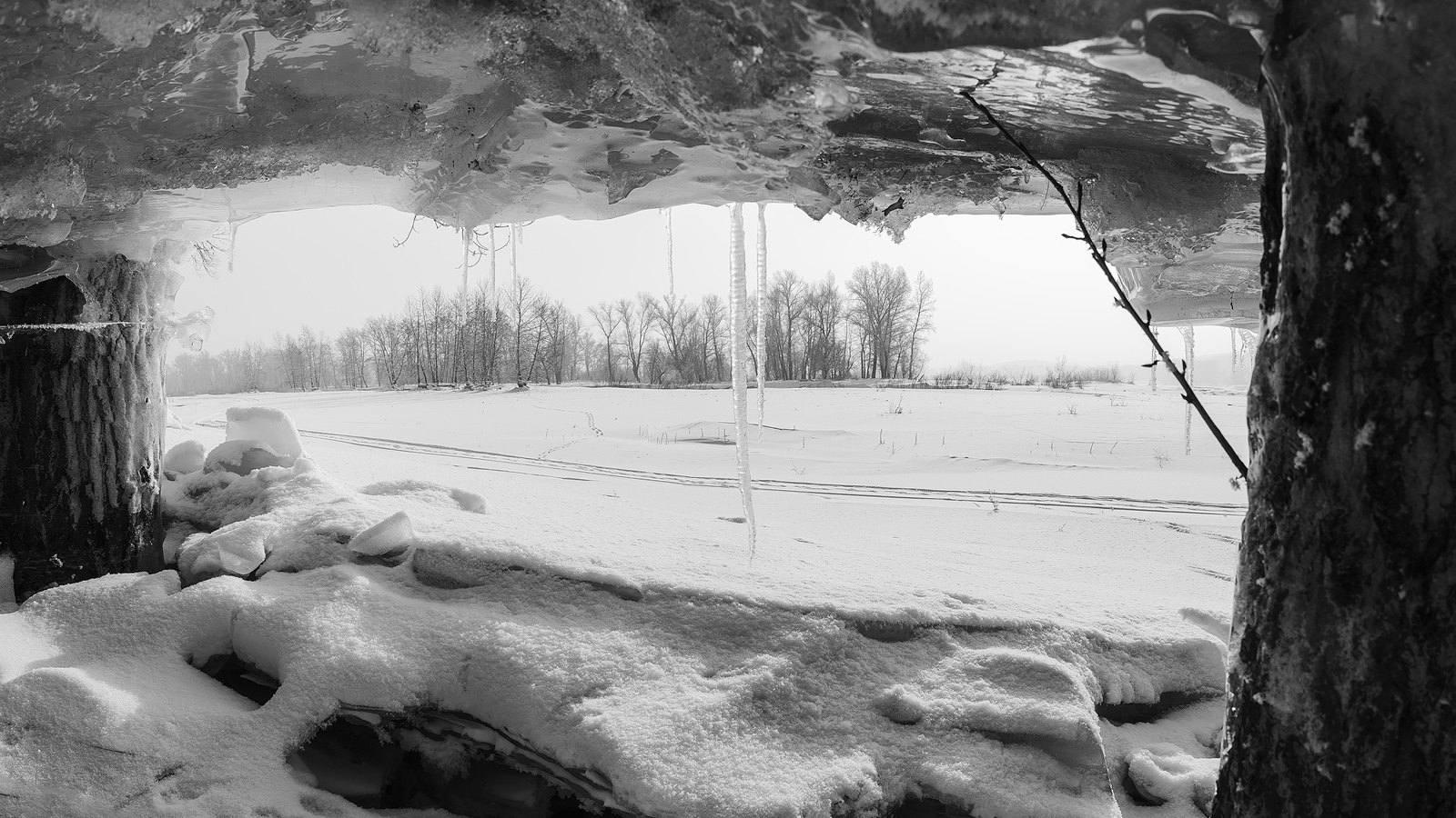 photo "***" tags: black&white, nature, travel, 
