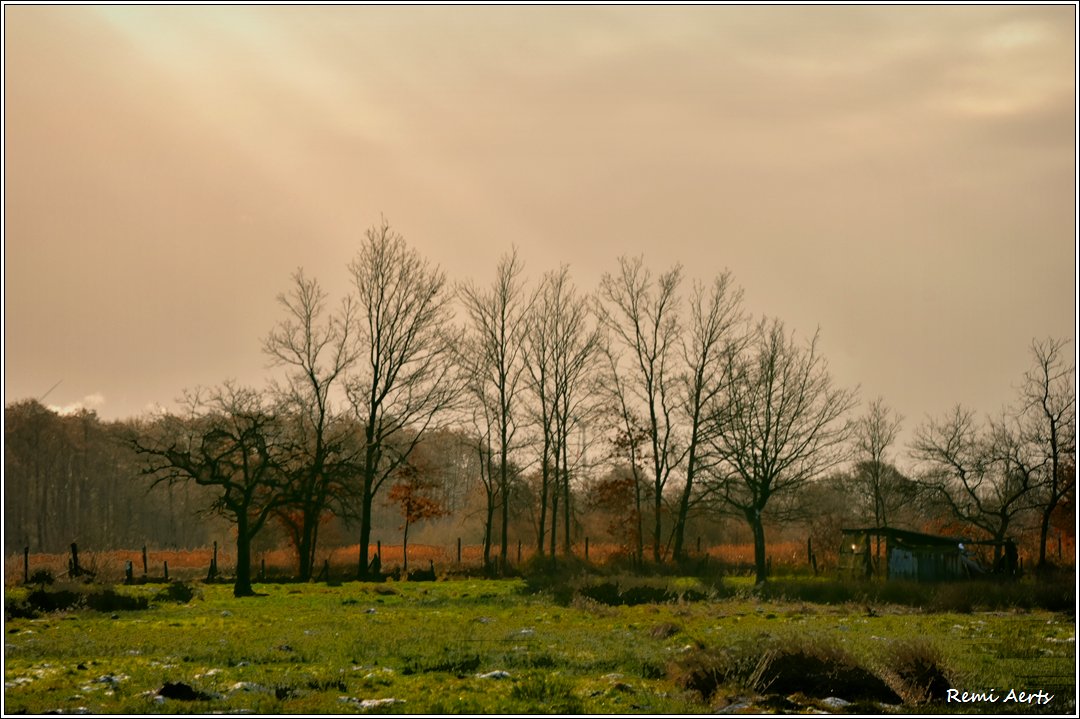 photo "***" tags: landscape, nature, 