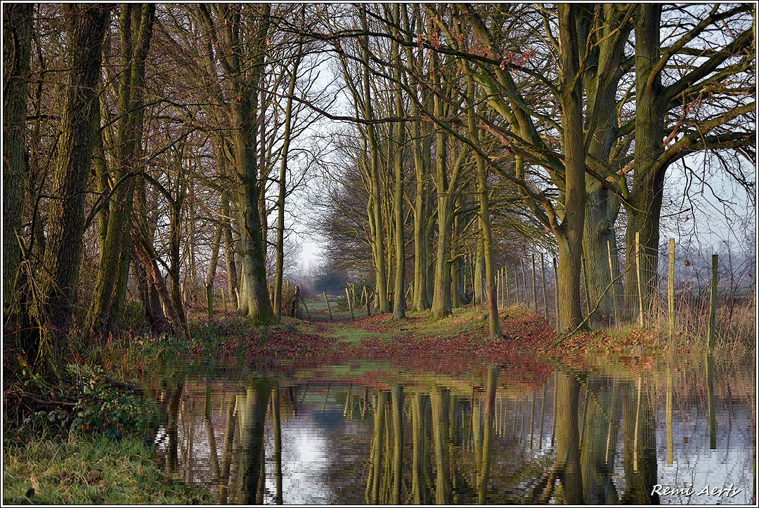 photo "***" tags: landscape, nature, 