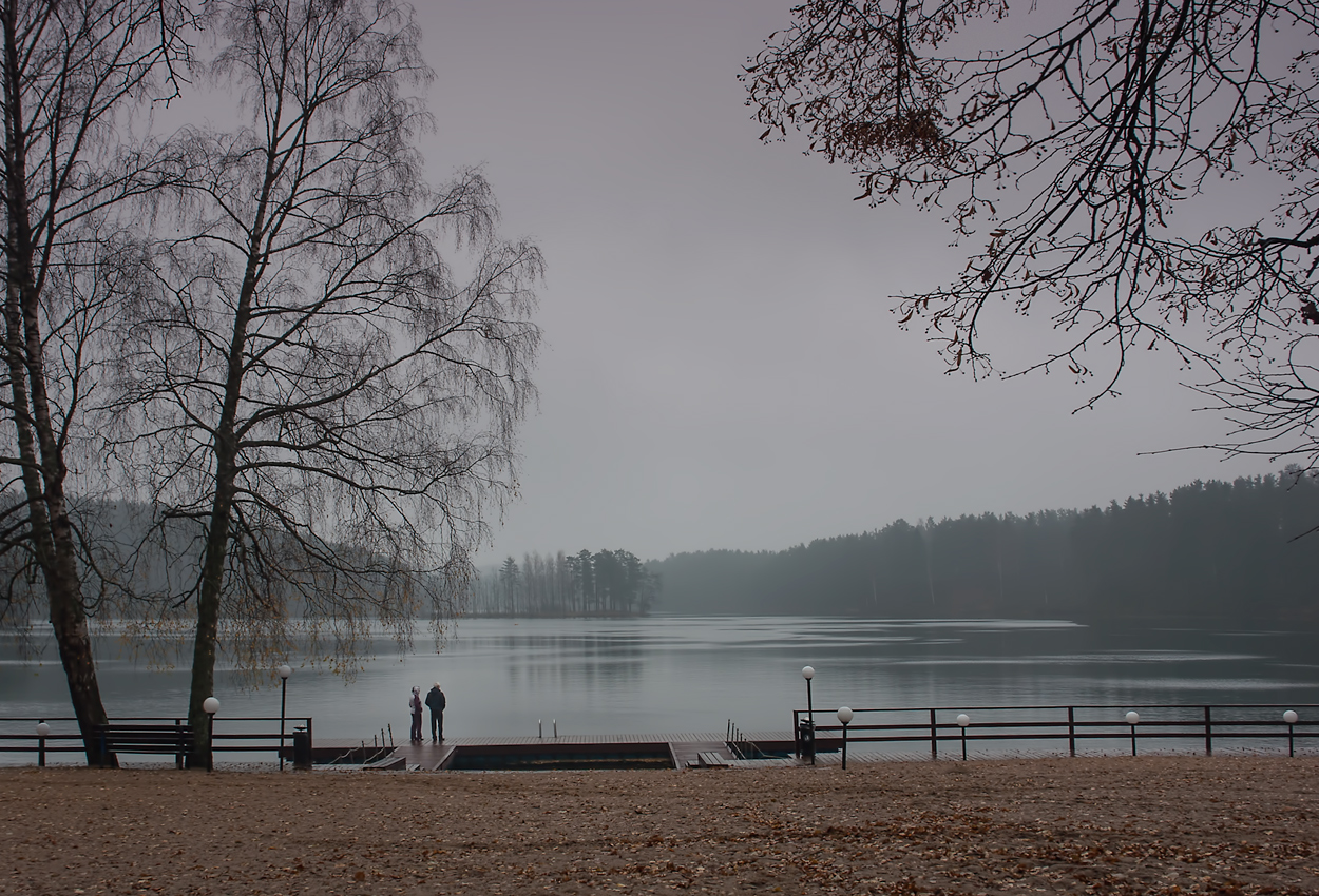 photo "Frozen November" tags: landscape, autumn, жизнь