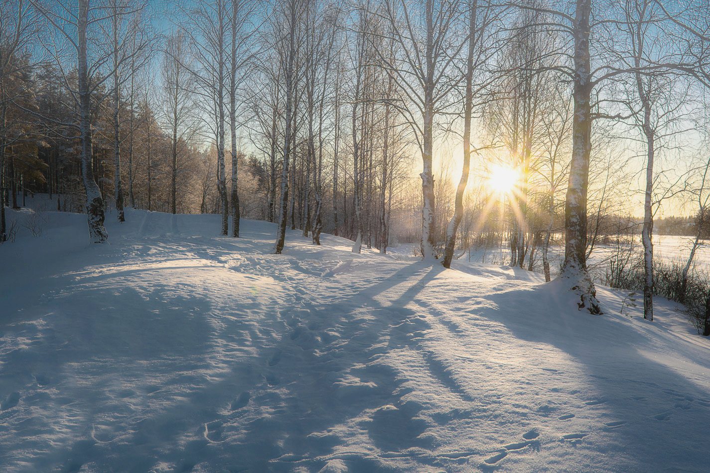 photo "***" tags: landscape, nature, evening, snow, sun, winter, Карельский перешеек