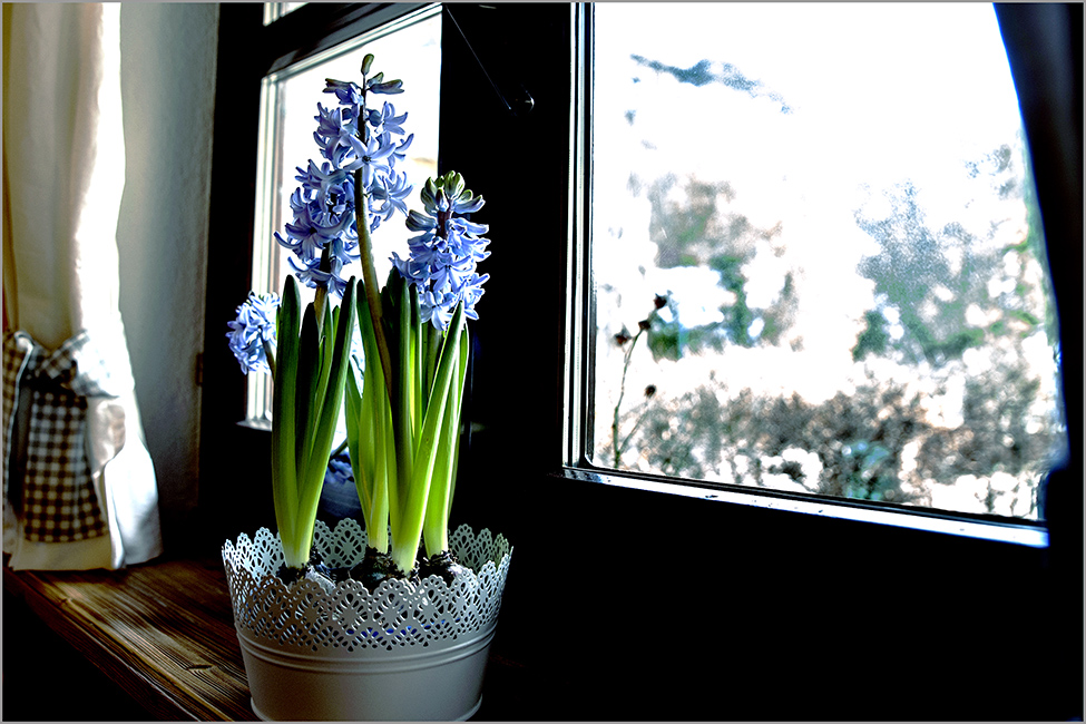 photo "***" tags: still life, genre, misc., 