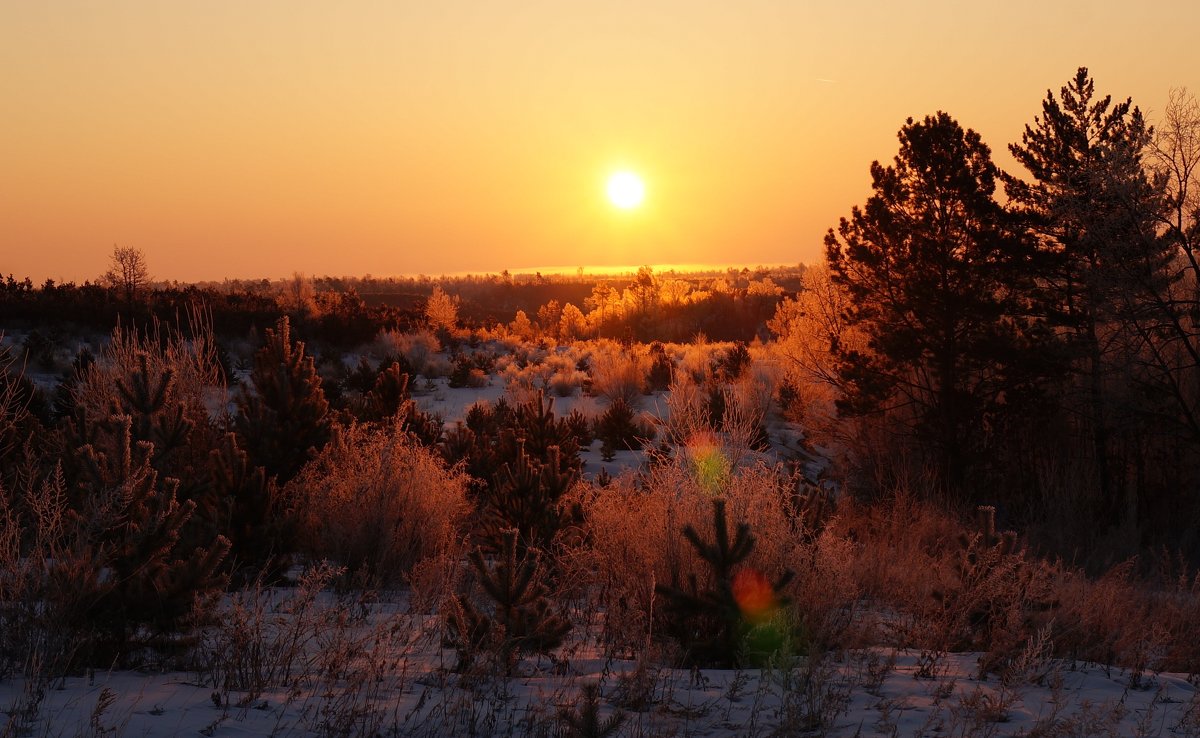 photo "***" tags: landscape, nature, 