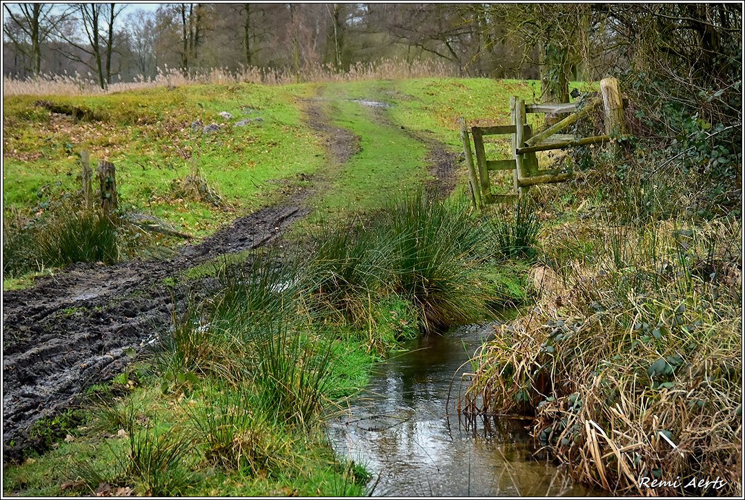 photo "***" tags: landscape, nature, 