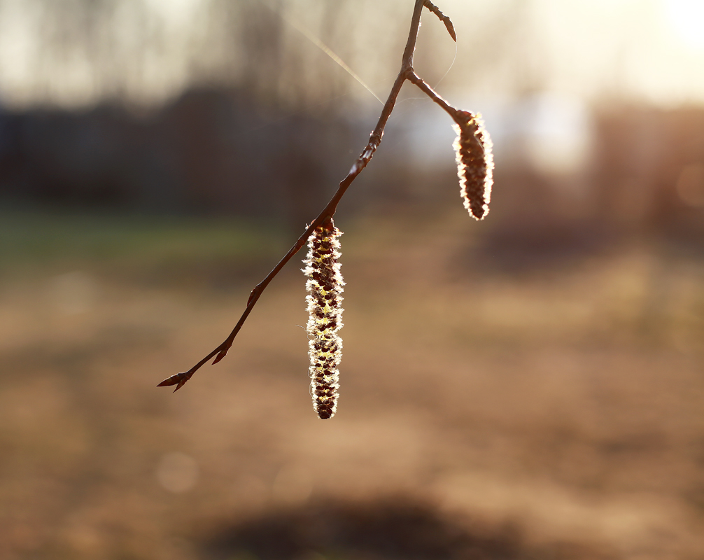 фото "***" метки: природа, фрагмент, 