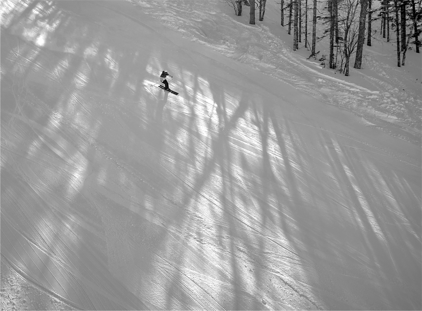 photo "***" tags: black&white, sport, nature, 