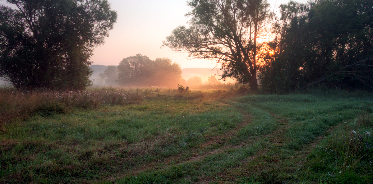 photo "***" tags: landscape, 