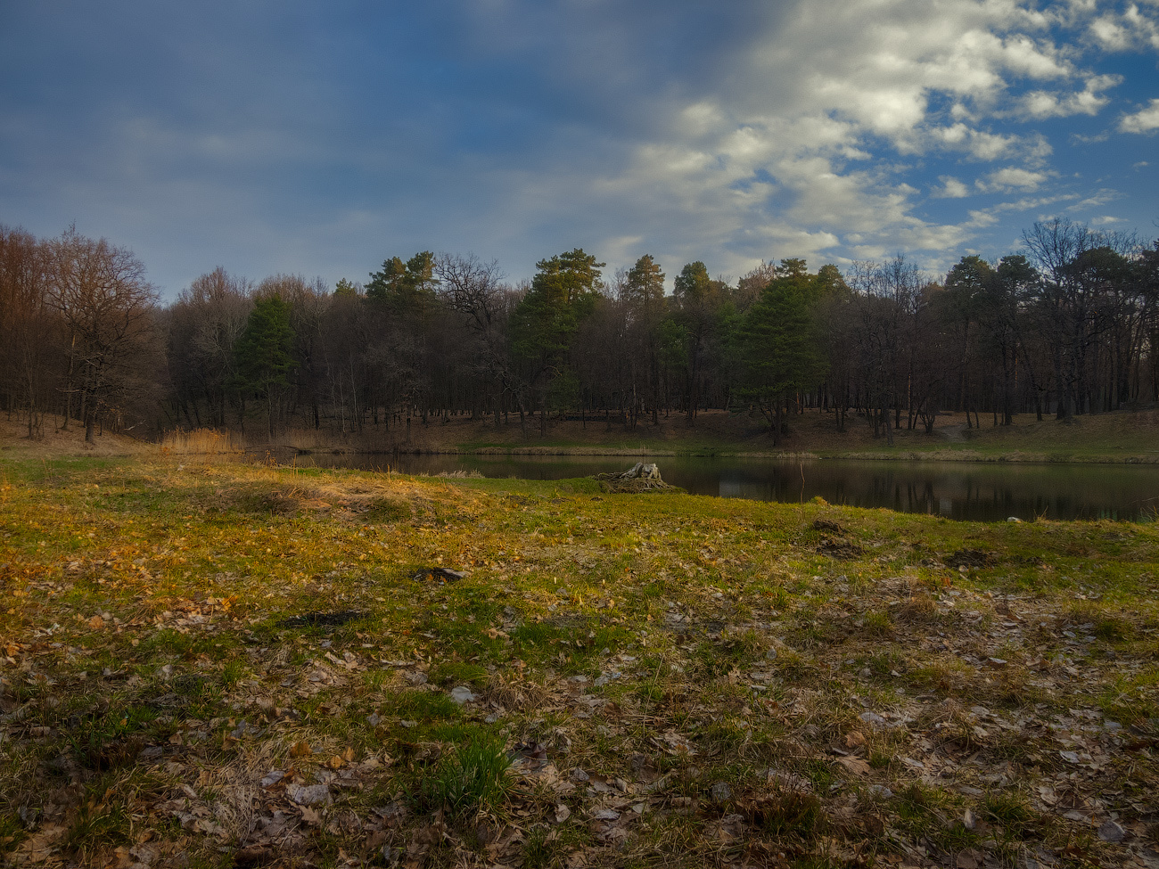 фото "Немного солнца в начале марта..." метки: пейзаж, природа, панорама, весна, вода, лес, небо, озеро, солнце, трава, утро