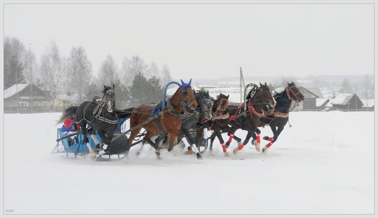 photo "***" tags: reporting, winter, Вологодчина