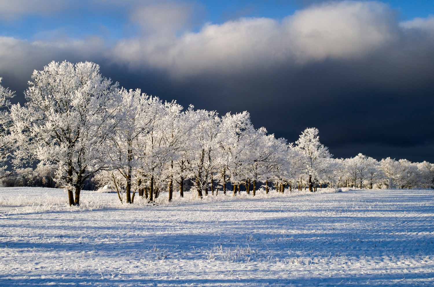 photo "***" tags: landscape, 