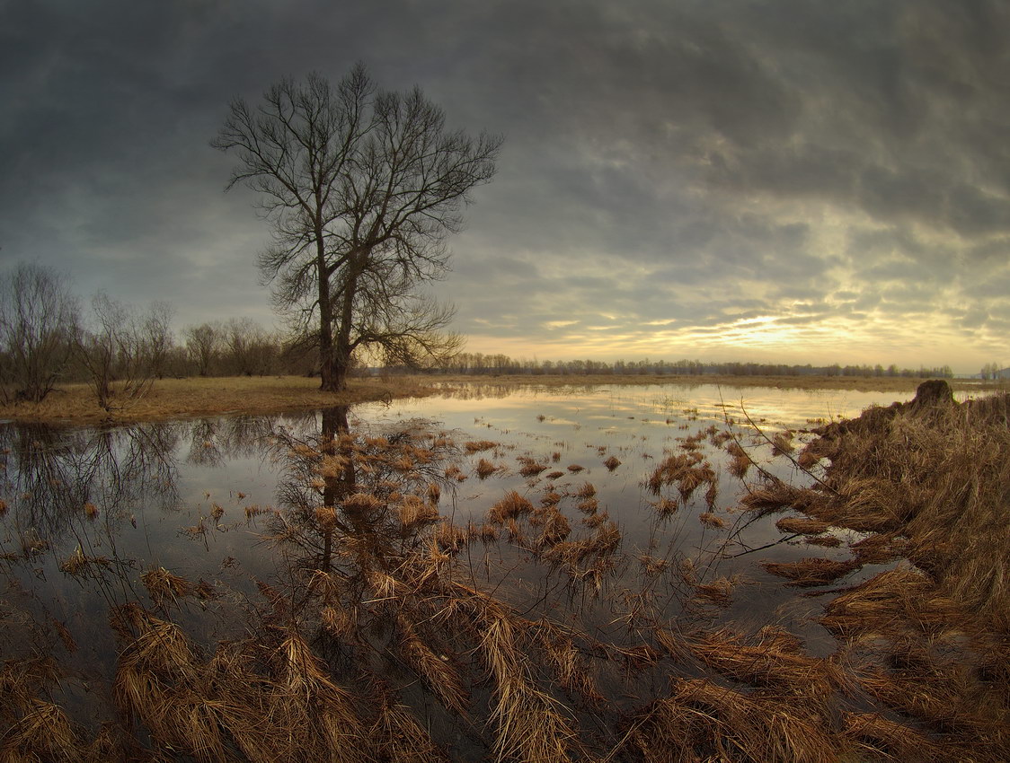 photo "***" tags: landscape, morning, spring, Беларусь, заливной луг, полесье