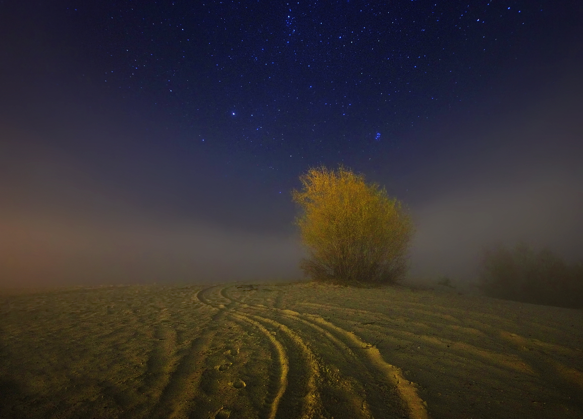 photo "***" tags: landscape, fog, night, Беларусь, звезды, полесье