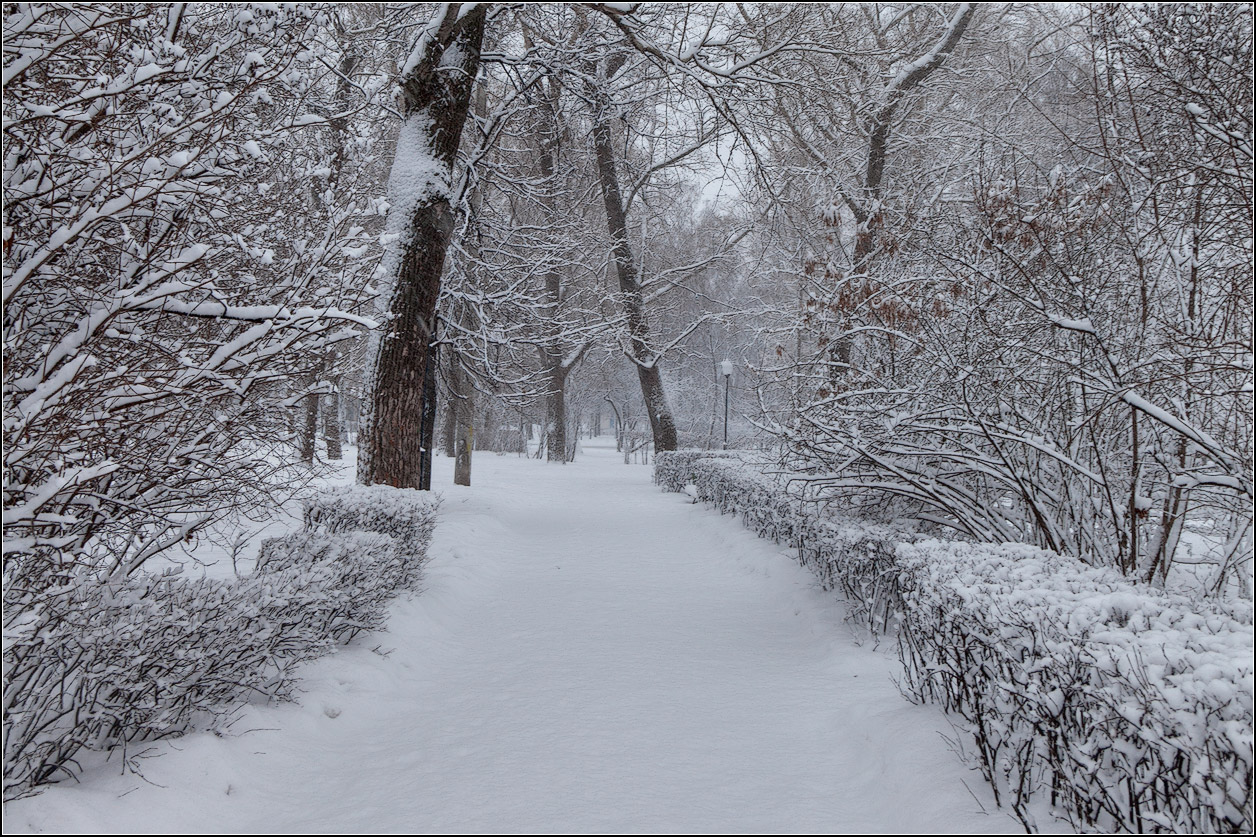 photo "after snowfall" tags: landscape, nature, city, 