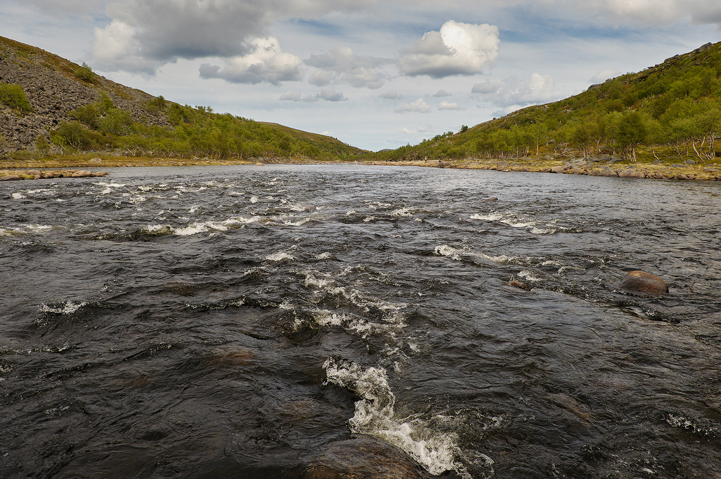 photo "***" tags: landscape, nature, travel, Kola Peninsula, river, summer