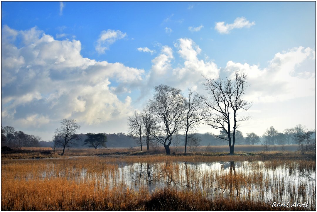 photo "***" tags: landscape, nature, 