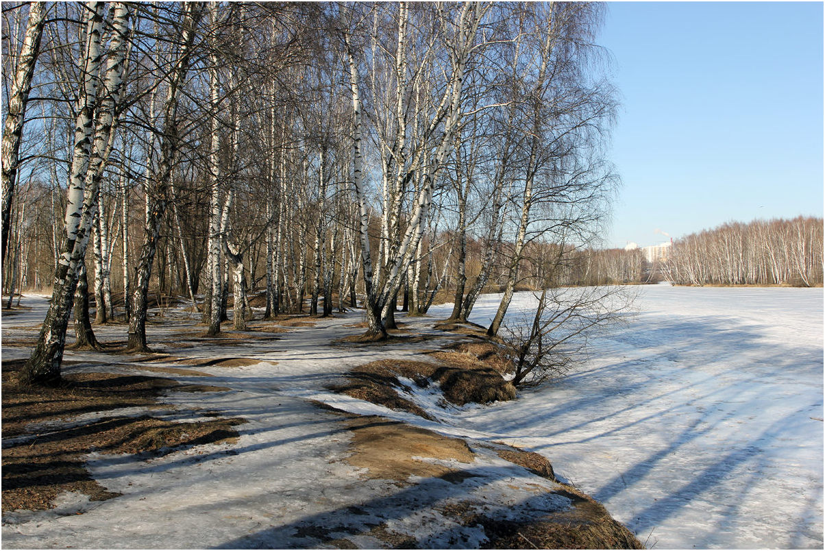 photo "March" tags: landscape, nature, 