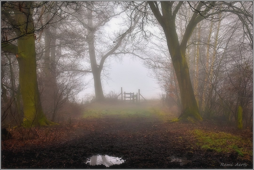 photo "***" tags: landscape, nature, 