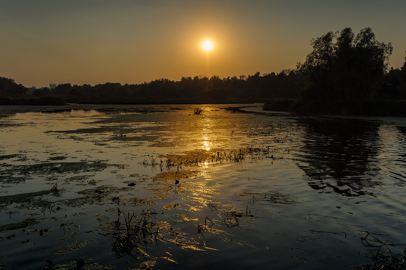 photo "***" tags: landscape, nature, 