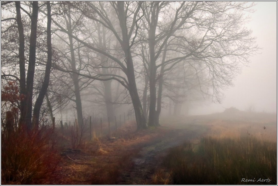 photo "***" tags: landscape, nature, 