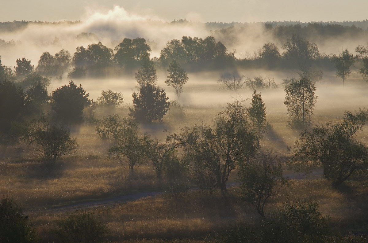 photo "***" tags: landscape, field, fog, light, morning, sun, Беларусь, полесье