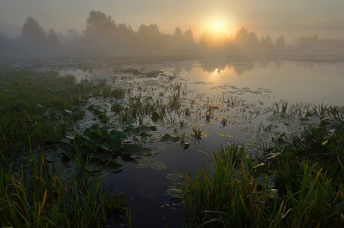 фото "Рассвет у лесного озера" метки: пейзаж, Беларусь, озеро, полесье, солнце, туман, утро
