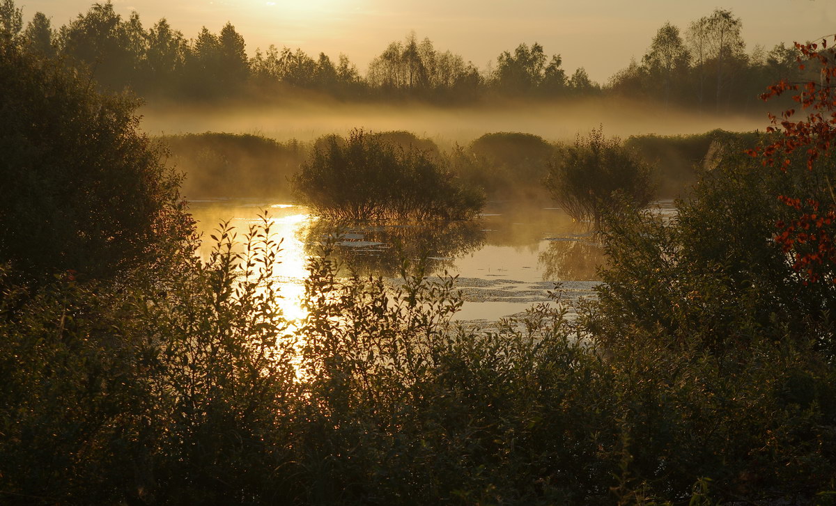 фото "Одно полесское утро" метки: пейзаж, Беларусь, полесье, свет, туман, утро