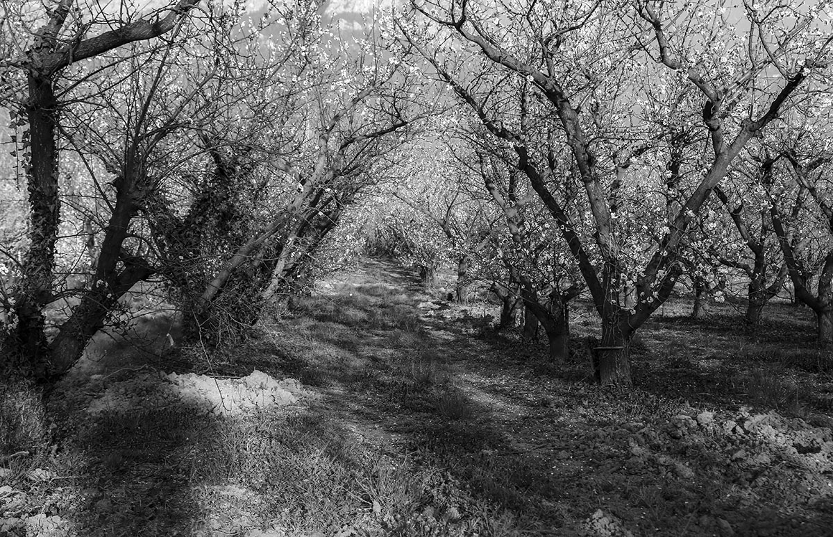 фото "old spring" метки: , 