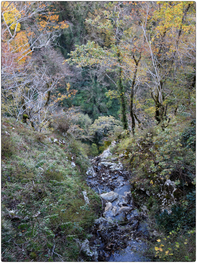photo "***" tags: nature, Georgia, Zeda Gordi