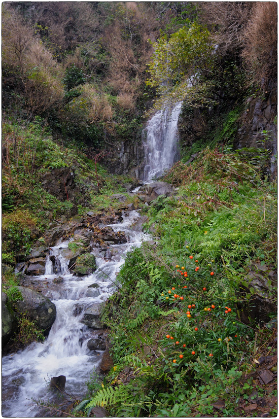 photo "***" tags: nature, Georgia, Makhuntseti