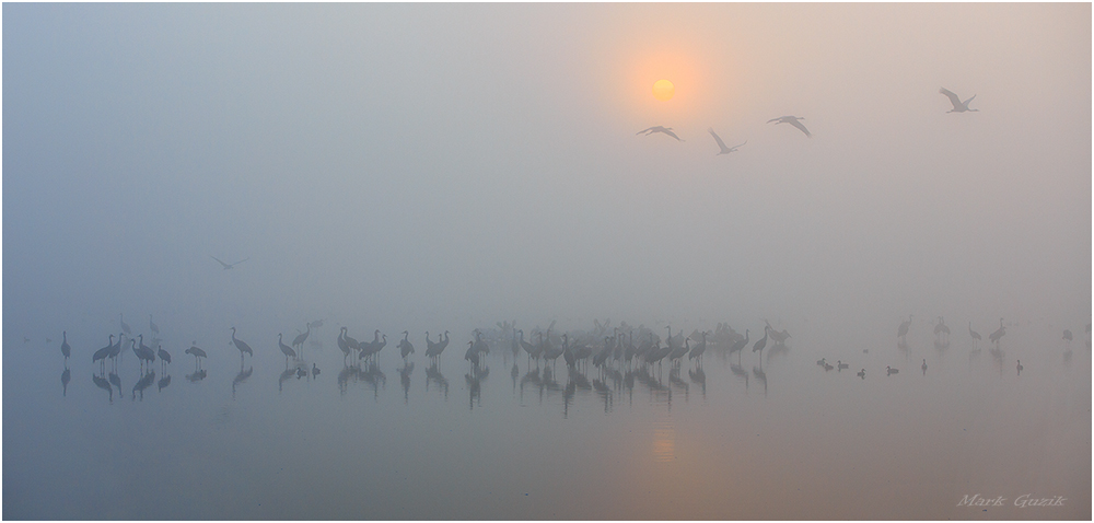 photo "Morning fog" tags: nature, 