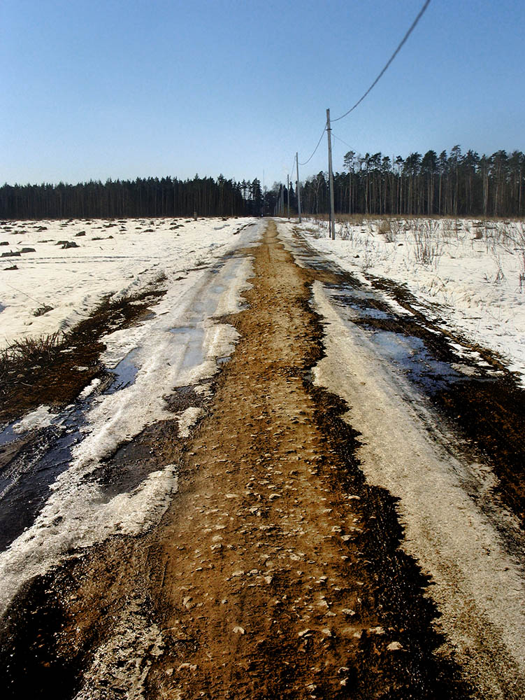 photo "The road to yourself" tags: landscape, nature, forest, road, текстура