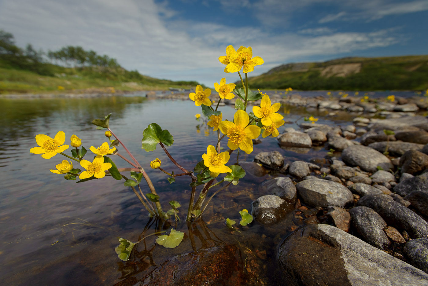 photo "***" tags: nature, landscape, Kola Peninsula, river, summer